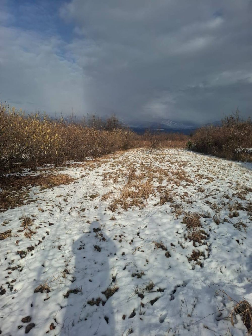 იყიდება 11 ოთახიანი კერძო სახლი წინანდალში